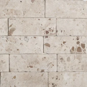 Anticatto Travertino Brasil - Creme